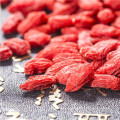 Conventional China Goji berry with high quality